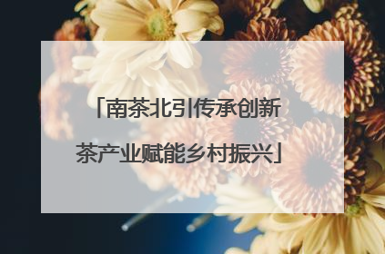 南茶北引传承创新 茶产业赋能乡村振兴