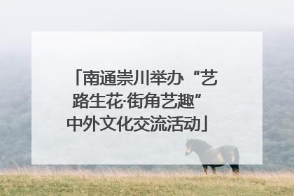 南通崇川举办“艺路生花·街角艺趣”中外文化交流活动