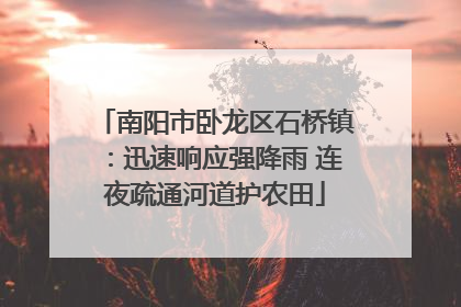 南阳市卧龙区石桥镇：迅速响应强降雨 连夜疏通河道护农田