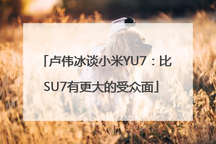 卢伟冰谈小米YU7：比SU7有更大的受众面