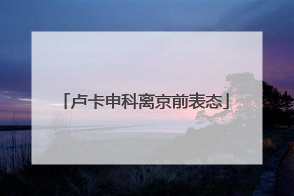 卢卡申科离京前表态