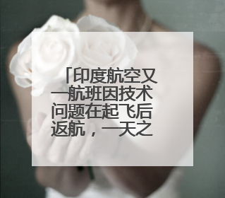 印度航空又一航班因技术问题在起飞后返航，一天之内第三次因“技术问题”返航