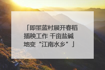 即墨蓝村展开春稻插秧工作 千亩盐碱地变“江南水乡”