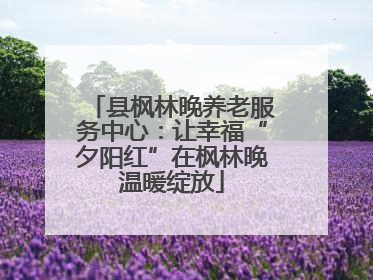 县枫林晚养老服务中心：让幸福“夕阳红”在枫林晚温暖绽放