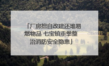 厂房擅自改建还堆易燃物品 七宝镇重拳整治消防安全隐患