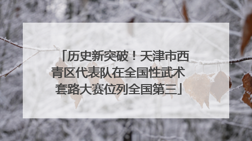 历史新突破！天津市西青区代表队在全国性武术套路大赛位列全国第三