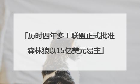 历时四年多！联盟正式批准森林狼以15亿美元易主