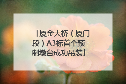 厦金大桥（厦门段）A3标首个预制墩台成功吊装