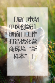 厦门市湖里区创新注册窗口工作打造优化营商环境“新样本”