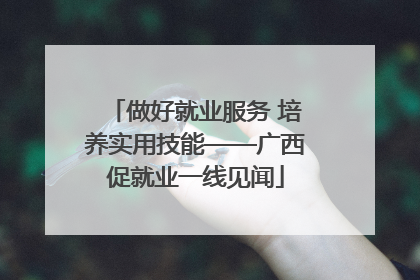 做好就业服务 培养实用技能——广西促就业一线见闻