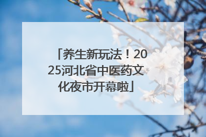 养生新玩法！2025河北省中医药文化夜市开幕啦