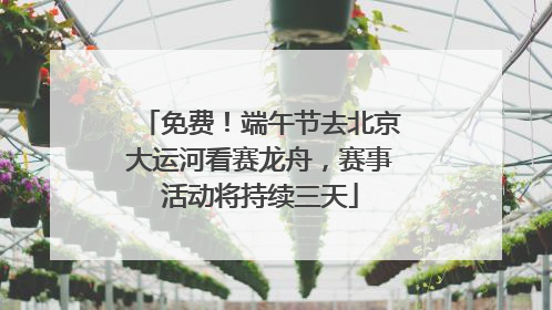 免费！端午节去北京大运河看赛龙舟，赛事活动将持续三天
