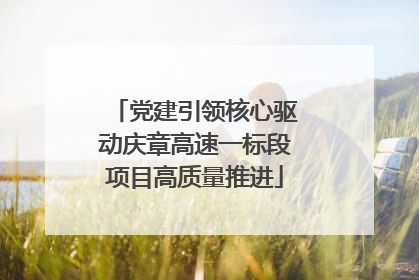 党建引领核心驱动庆章高速一标段项目高质量推进