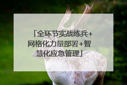 全环节实战练兵+网格化力量部署+智慧化应急管理