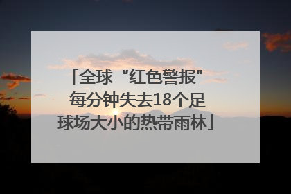 全球“红色警报”  每分钟失去18个足球场大小的热带雨林