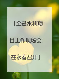 全省水利项目工作现场会在永春召开