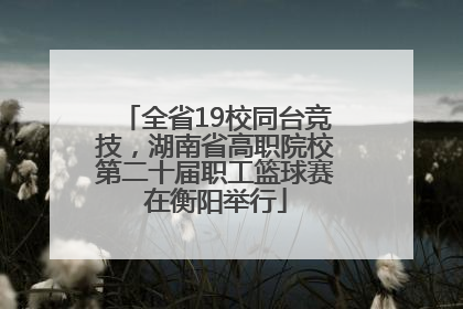 全省19校同台竞技，湖南省高职院校第二十届职工篮球赛在衡阳举行