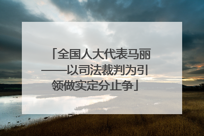 全国人大代表马丽——以司法裁判为引领做实定分止争