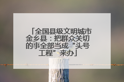 全国县级文明城市金乡县：把群众关切的事全部当成“头号工程”来办