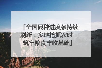 全国夏种进度条持续刷新：多地抢抓农时 筑牢粮食丰收基础