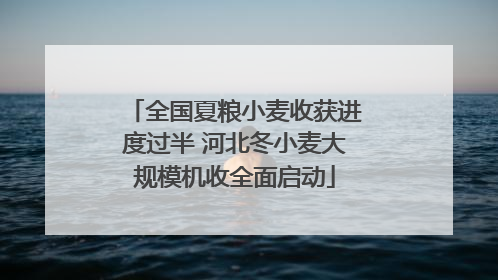 全国夏粮小麦收获进度过半 河北冬小麦大规模机收全面启动