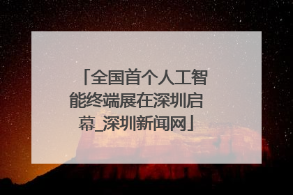 全国首个人工智能终端展在深圳启幕_深圳新闻网