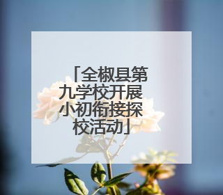 全椒县第九学校开展小初衔接探校活动