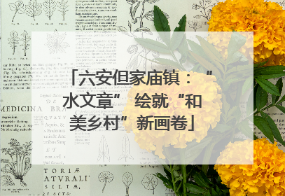 六安但家庙镇：“水文章” 绘就“和美乡村”新画卷