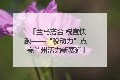 兰马搭台 税宣快跑——“税动力”点亮兰州活力新赛道