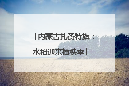 内蒙古扎赉特旗：水稻迎来插秧季