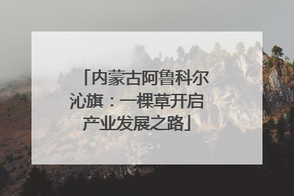 内蒙古阿鲁科尔沁旗：一棵草开启产业发展之路