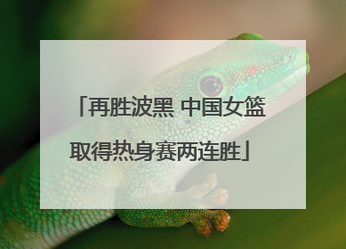 再胜波黑 中国女篮取得热身赛两连胜