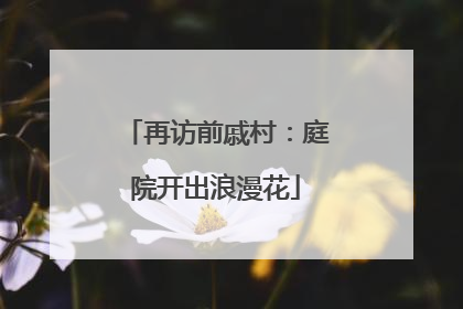 再访前戚村：庭院开出浪漫花