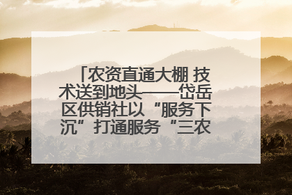农资直通大棚 技术送到地头——岱岳区供销社以“服务下沉”打通服务“三农”最后一公里