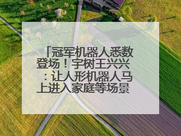 冠军机器人悉数登场！宇树王兴兴：让人形机器人马上进入家庭等场景并不现实