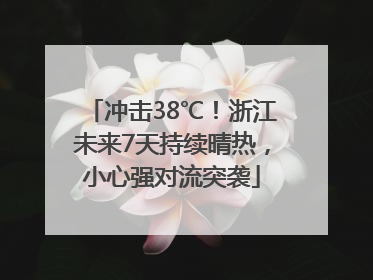 冲击38℃！浙江未来7天持续晴热，小心强对流突袭