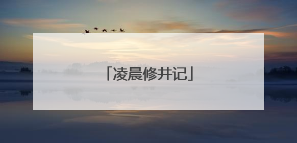 凌晨修井记