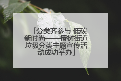 分类齐参与 低碳新时尚——椿树街道垃圾分类主题宣传活动成功举办