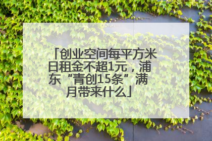 创业空间每平方米日租金不超1元，浦东“青创15条”满月带来什么