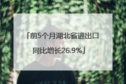 前5个月湖北省进出口同比增长26.9%