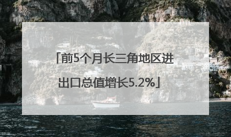 前5个月长三角地区进出口总值增长5.2%