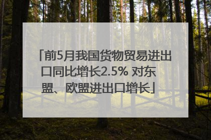 前5月我国货物贸易进出口同比增长2.5% 对东盟、欧盟进出口增长