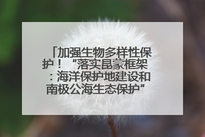 加强生物多样性保护！“落实昆蒙框架：海洋保护地建设和南极公海生态保护”主题论坛将举办