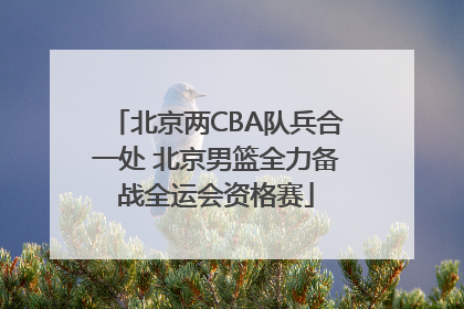 北京两CBA队兵合一处 北京男篮全力备战全运会资格赛