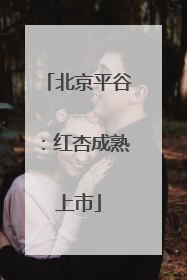 北京平谷：红杏成熟上市