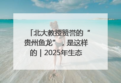 北大教授赞誉的“贵州鱼龙”，是这样的｜2025年生态文明贵阳国际论坛