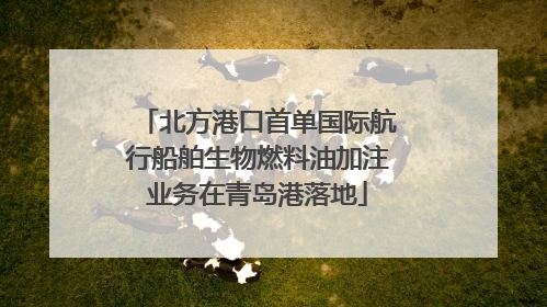 北方港口首单国际航行船舶生物燃料油加注业务在青岛港落地