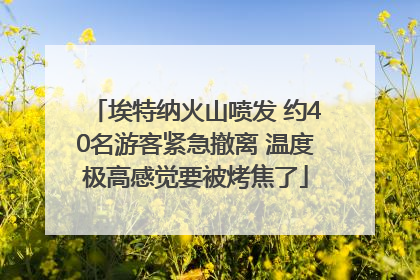 埃特纳火山喷发 约40名游客紧急撤离 温度极高感觉要被烤焦了