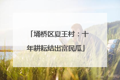 埇桥区夏王村：十年耕耘结出富民瓜