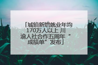 城镇新增就业年均170万人以上 川渝人社合作五周年“成绩单”发布